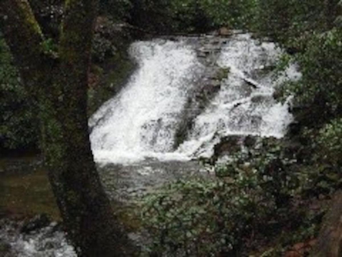 Tuckaseegee @ Sky Ridge Yurts Bryson City Esterno foto
